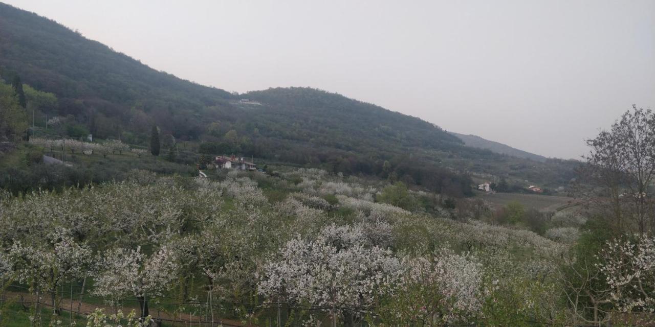 Agriturismo L'Albara Villaganzerla Exterior foto