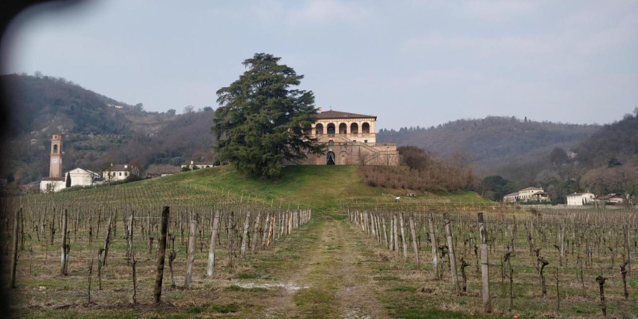 Agriturismo L'Albara Villaganzerla Exterior foto