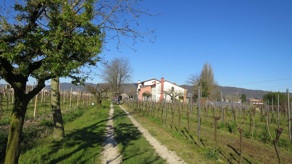 Agriturismo L'Albara Villaganzerla Exterior foto