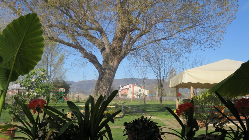 Agriturismo L'Albara Villaganzerla Exterior foto