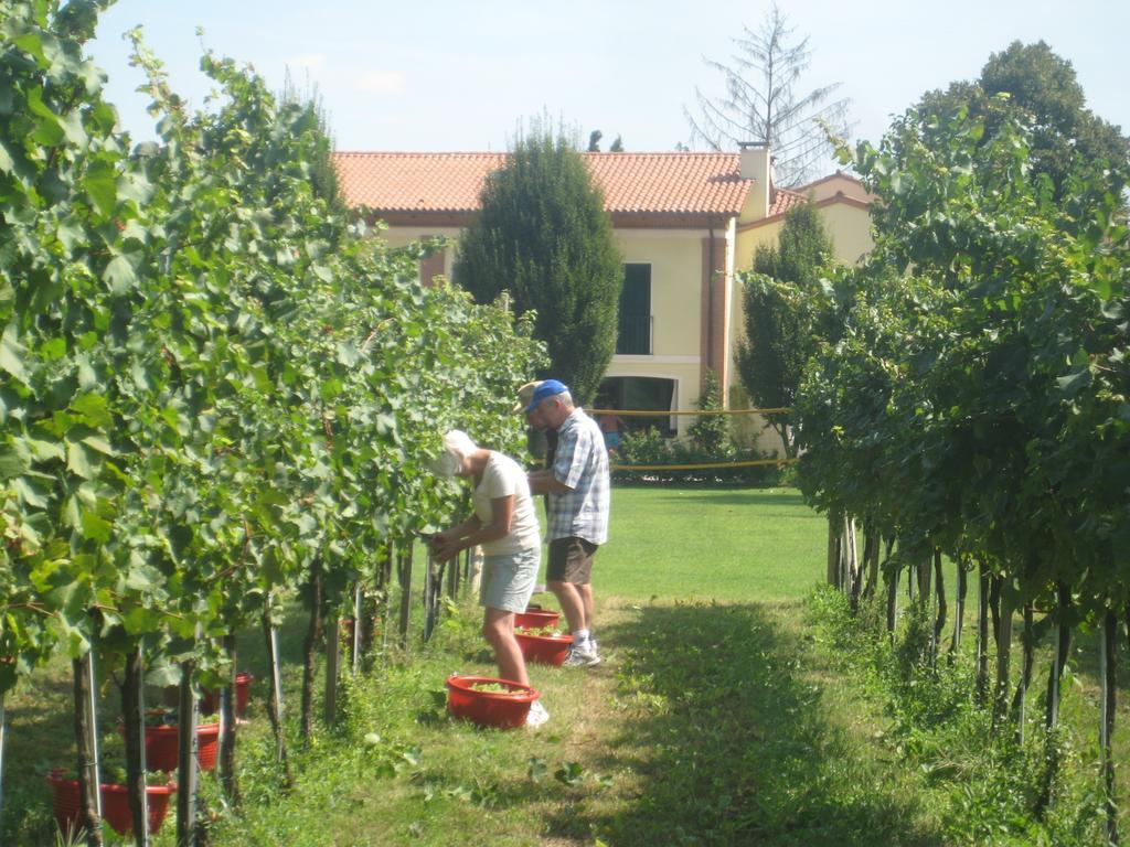Agriturismo L'Albara Villaganzerla Exterior foto